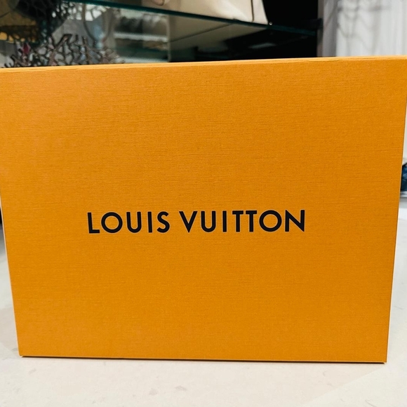 Louis Vuitton Other - Empty Box Original Louis Vuitton Orange Branded Box